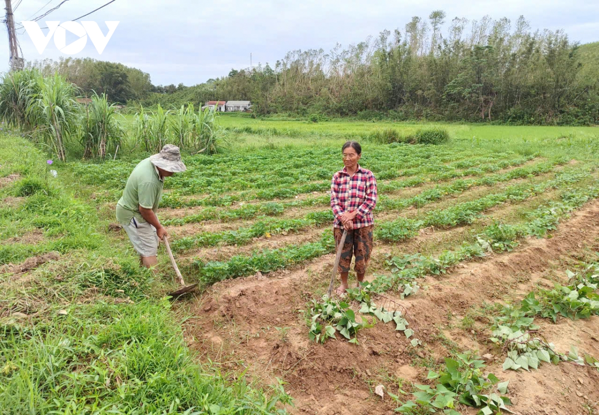 nguoi Dong hai guong day sau bao lu hinh anh 4