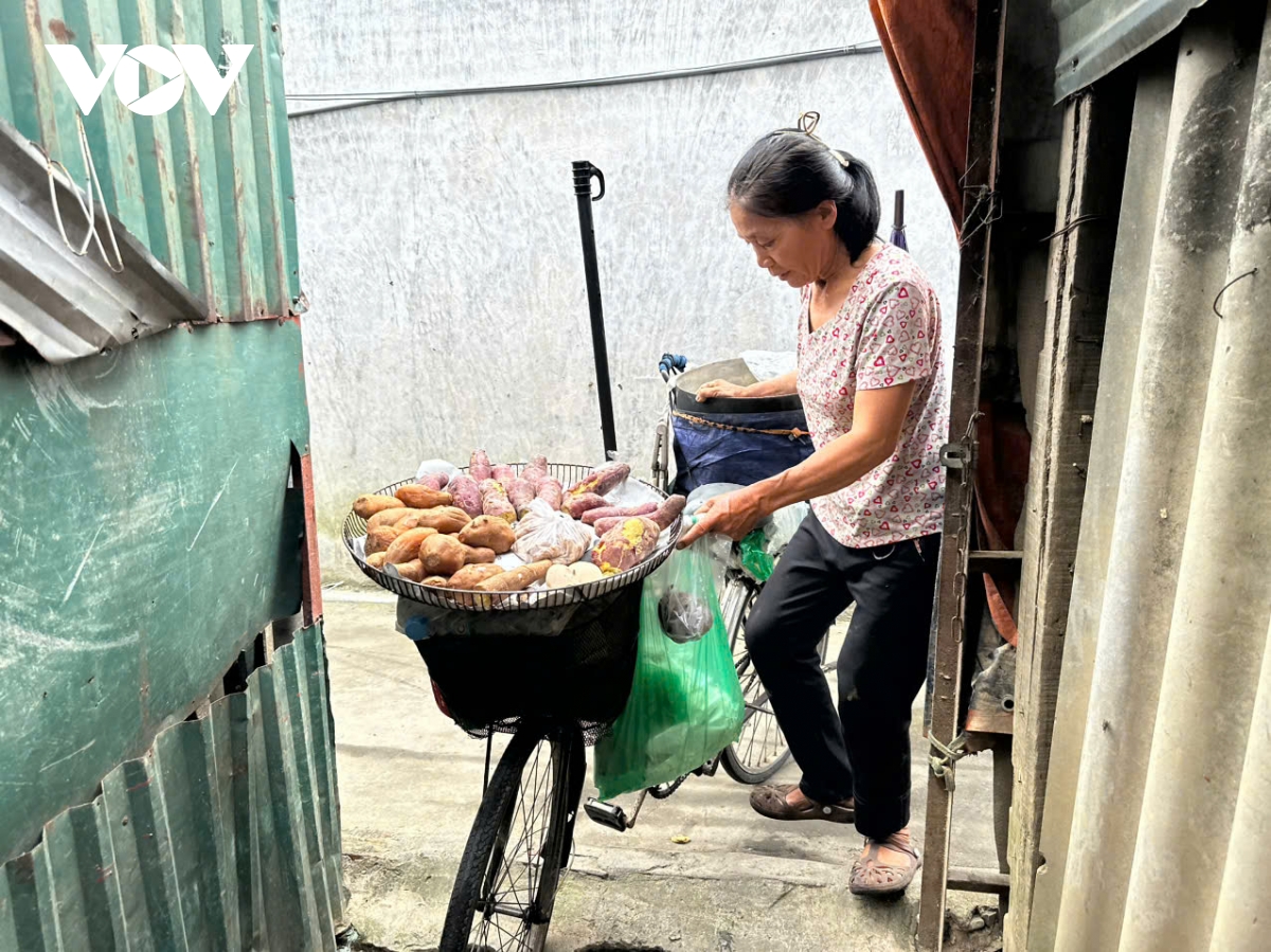 Người dân bãi sông Hồng Hà Nội nhọc nhằn mưu sinh trở lại sau lũ dữ