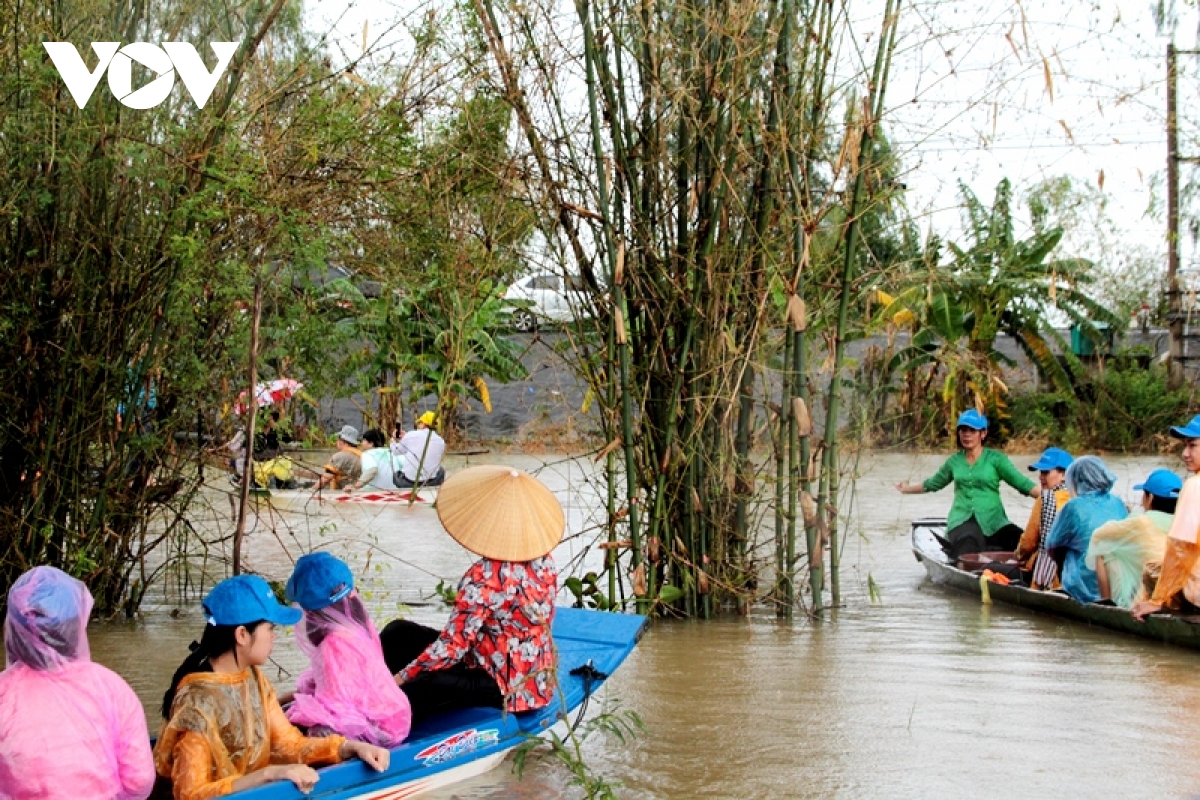 Về Đồng Tháp trải nghiệm du lịch mùa nước nổi