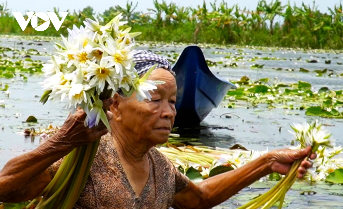 buồn vui mùa nước nổi ở cà mau hình ảnh 3 buon vui mua nuoc noi o ca mau hinh anh 3