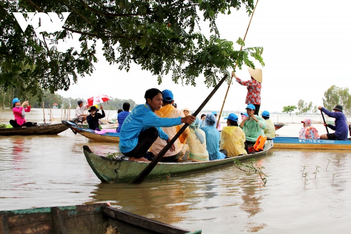 ve Dong thap trai nghiem du lich mua nuoc noi hinh anh 3