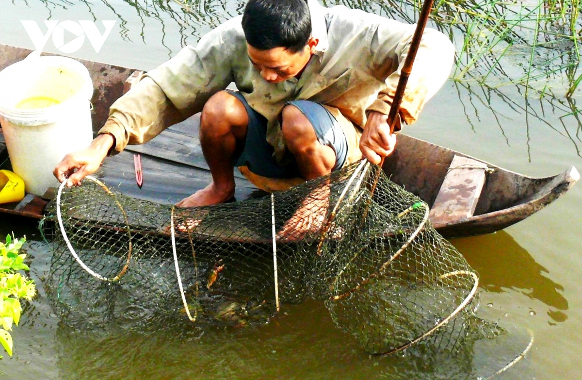 cua ca mau tai sao ngon, ai cung muon thuong thuc hinh anh 4