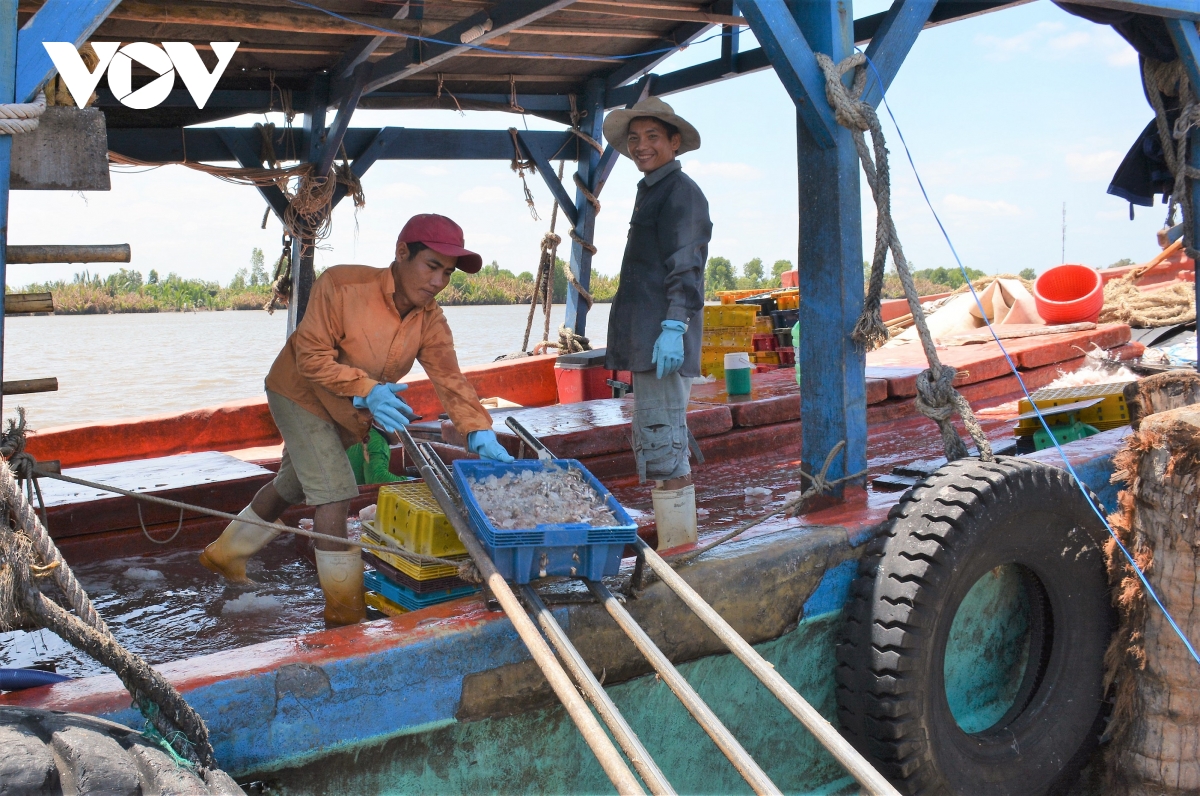 Cà Mau quản lý tàu cá hiệu quả hơn nhờ phần mềm