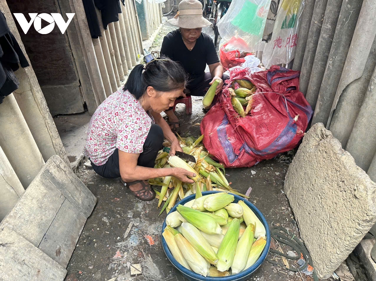 nguoi dan bai song hong ha noi nhoc nhan muu sinh tro lai sau lu du hinh anh 4