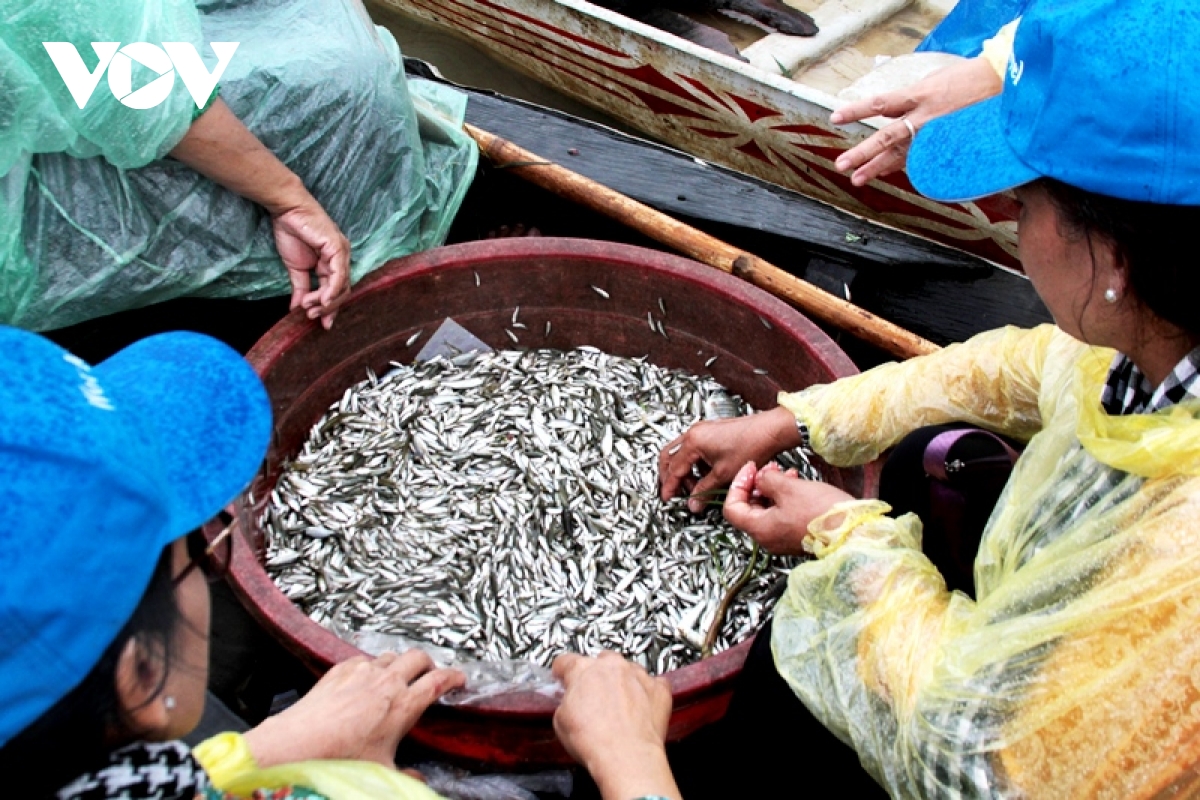 ve Dong thap trai nghiem du lich mua nuoc noi hinh anh 5