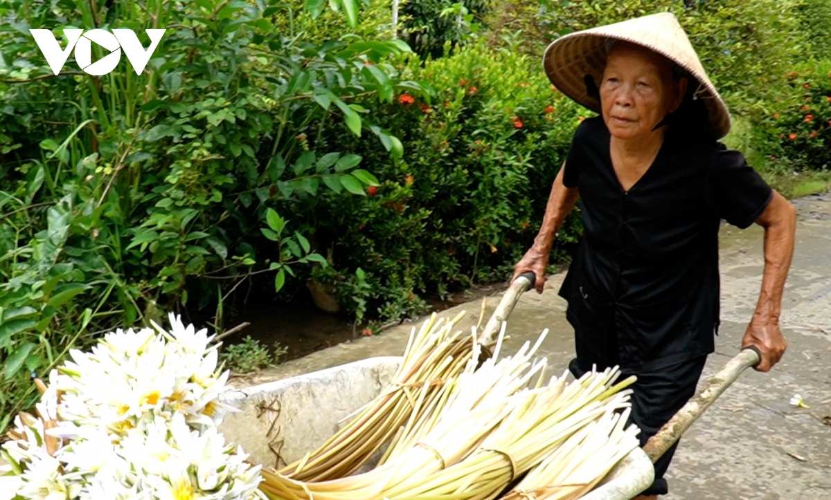 buồn vui mùa nước nổi ở cà mau hình ảnh 6 buon vui mua nuoc noi o ca mau hinh anh 6