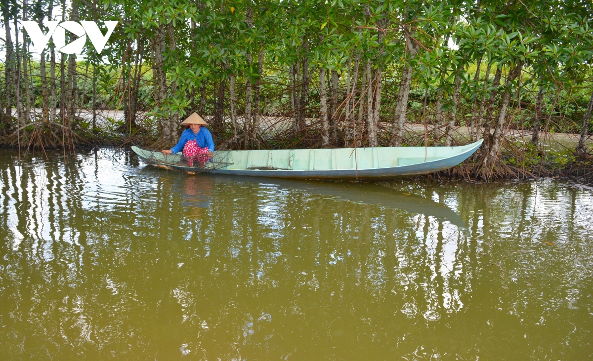 cua ca mau tai sao ngon, ai cung muon thuong thuc hinh anh 7