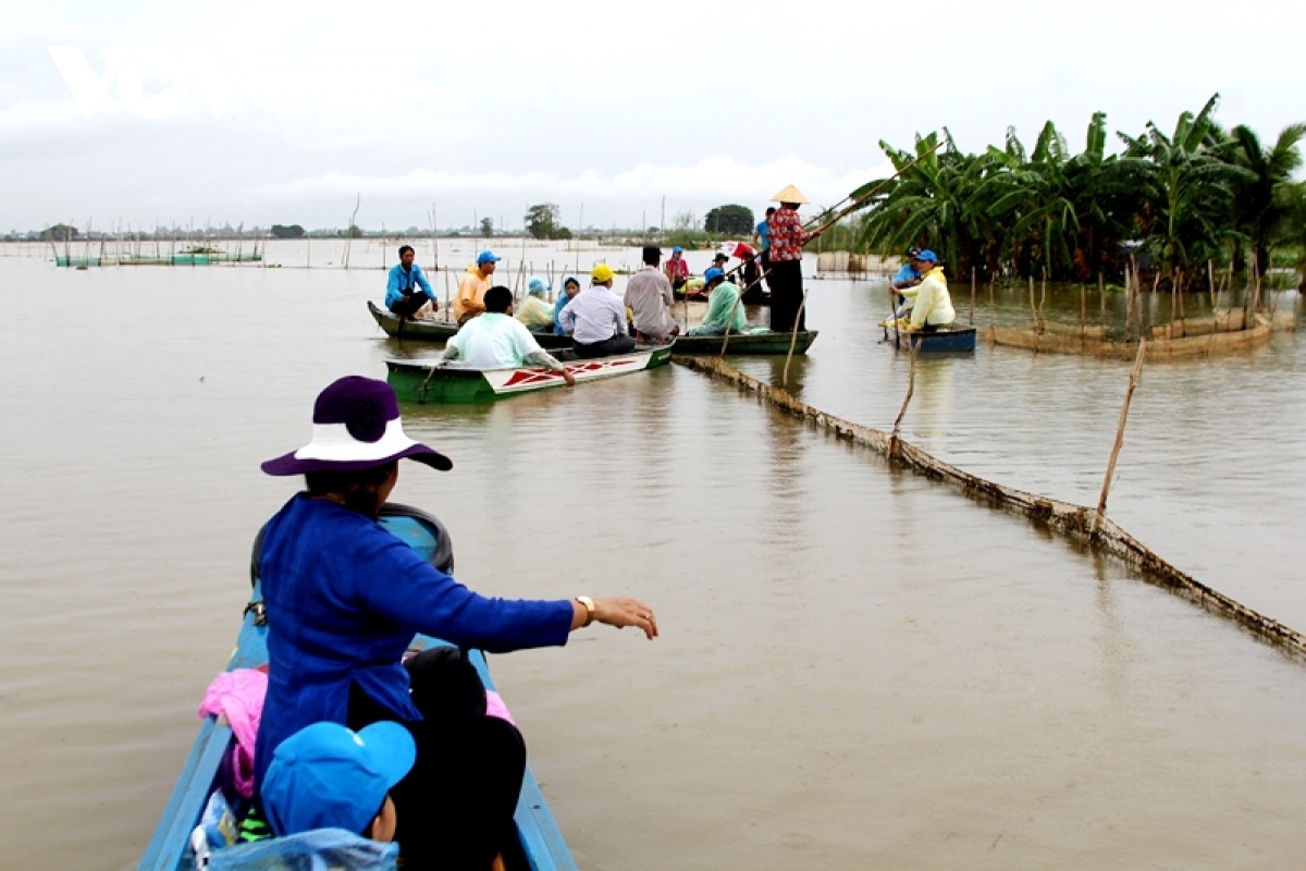 ve Dong thap trai nghiem du lich mua nuoc noi hinh anh 7