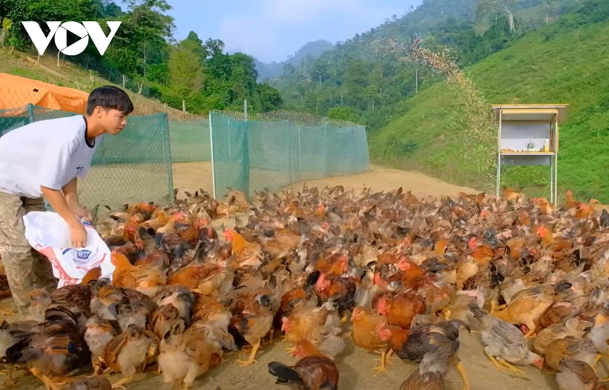 khởi nghiệp từ phát triển nội dung số, thanh niên sơn la có thu nhập cả tỷ đồng hình ảnh 3 khoi nghiep tu phat trien noi dung so, thanh nien son la co thu nhap ca ty dong hinh anh 3