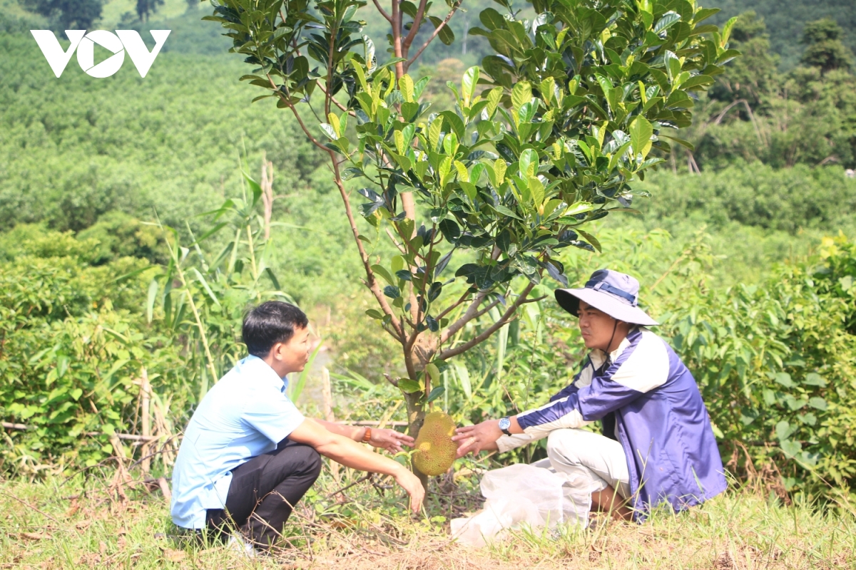 Dang vien tre dan toc chut o quang binh tien phong thoat ngheo hinh anh 3