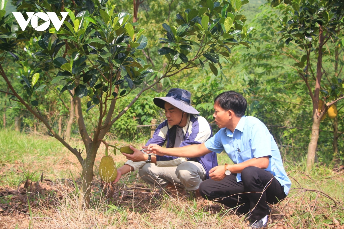 Dang vien tre dan toc chut o quang binh tien phong thoat ngheo hinh anh 5