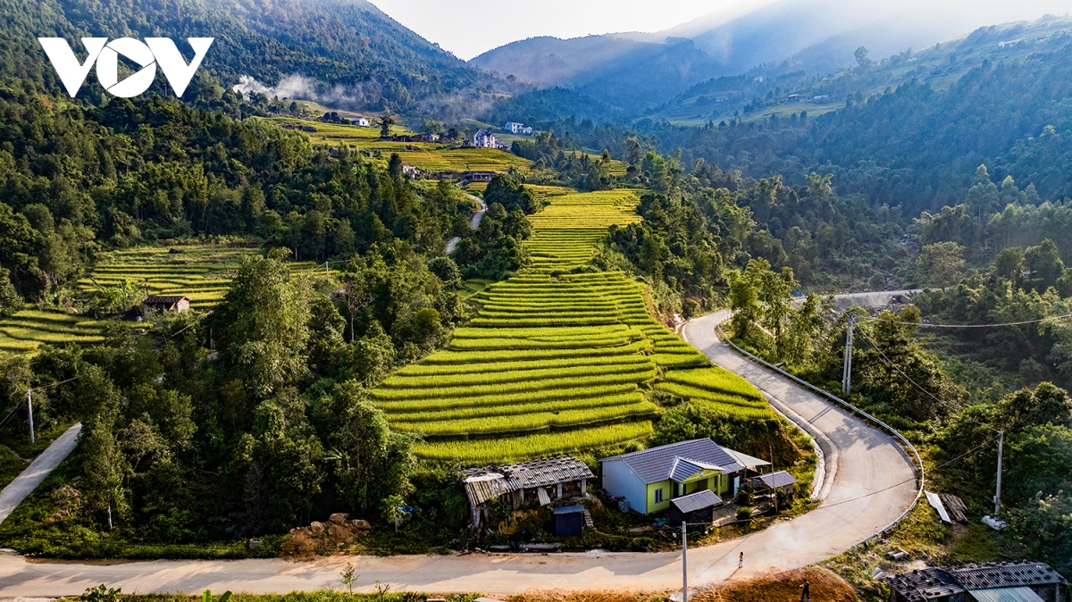 len bien gioi binh lieu quang ninh ngam lua vang, lau trang hinh anh 11