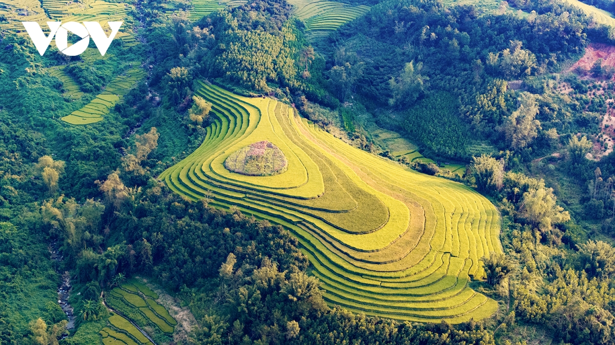 len bien gioi binh lieu quang ninh ngam lua vang, lau trang hinh anh 12