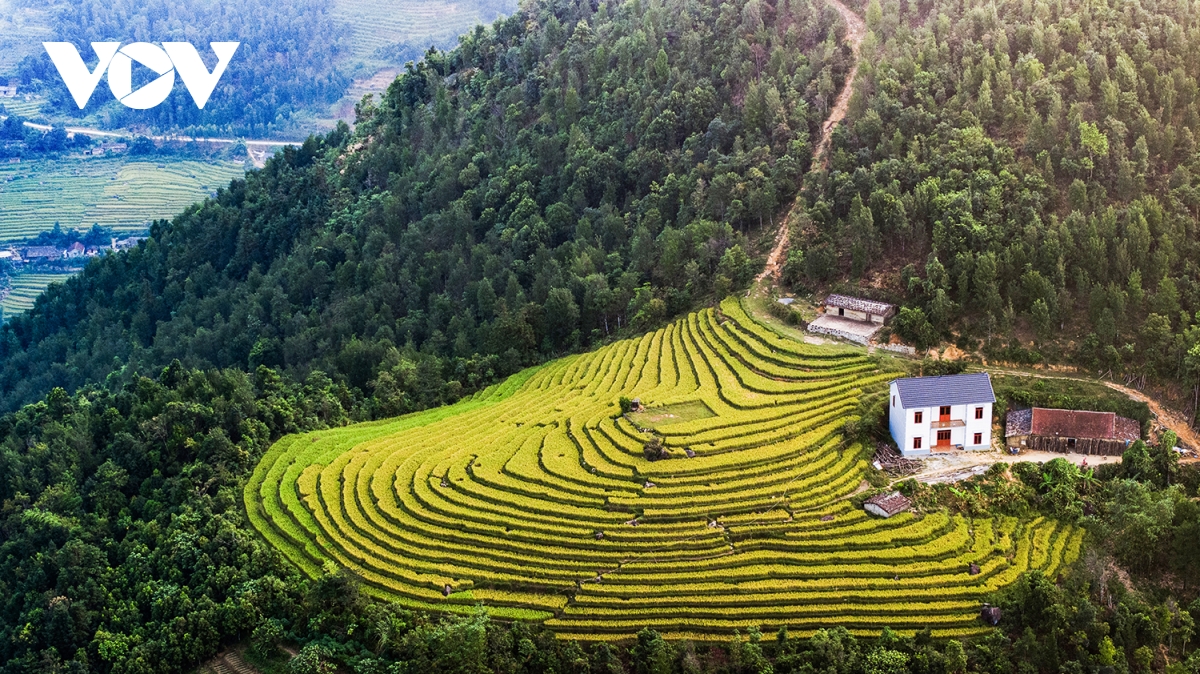 len bien gioi binh lieu quang ninh ngam lua vang, lau trang hinh anh 2