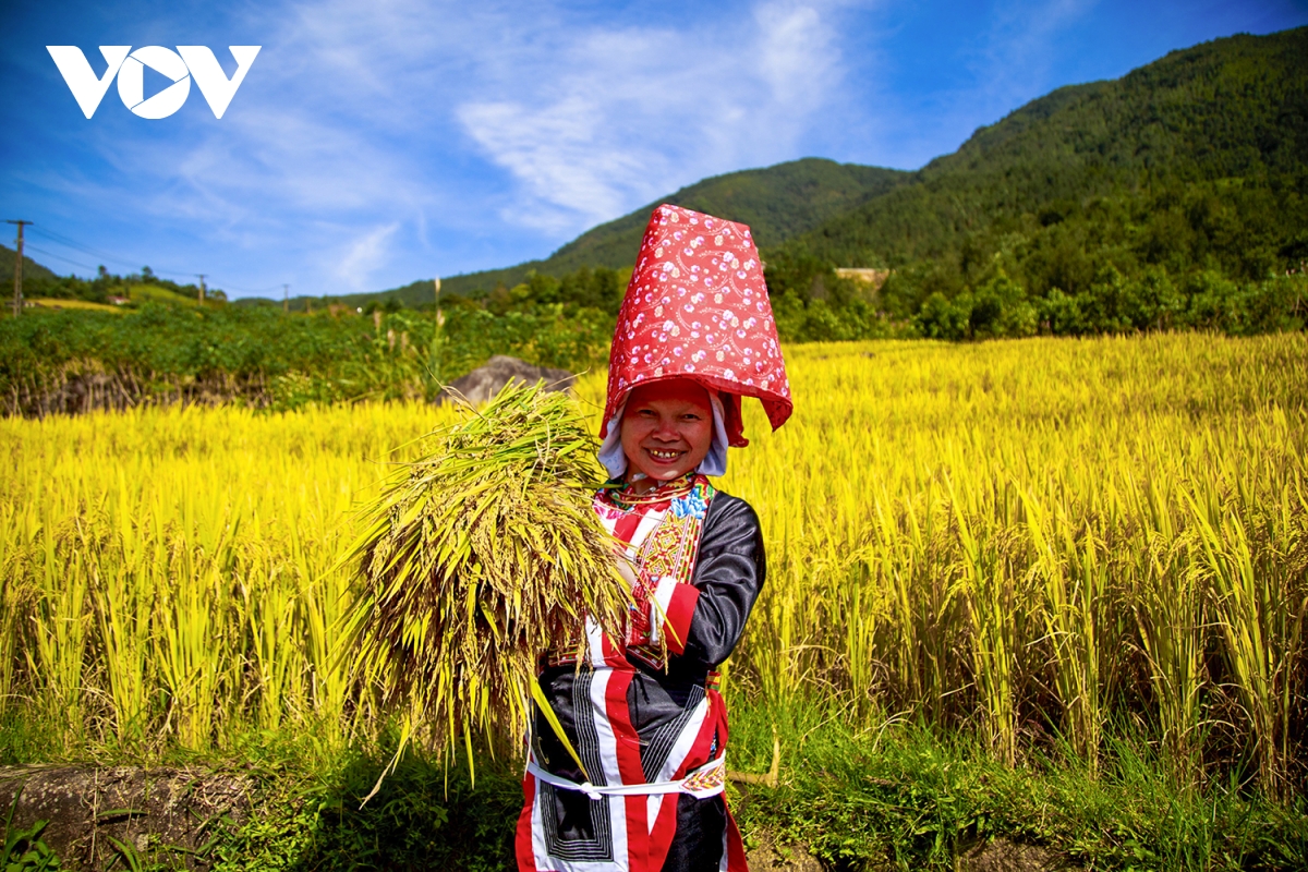 len bien gioi binh lieu quang ninh ngam lua vang, lau trang hinh anh 3