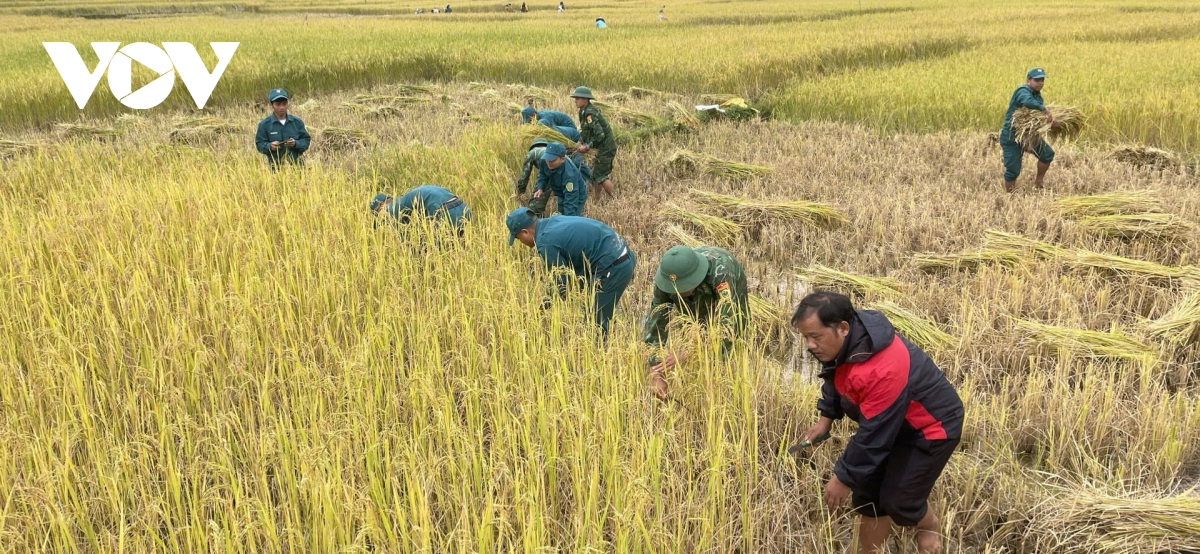 tường nhà nứt, sụt lún, nhiều hộ dân miền núi quảng nam phải sơ tán để tránh bão hình ảnh 7 tuong nha nut, sut lun, nhieu ho dan mien nui quang nam phai so tan de tranh bao hinh anh 7