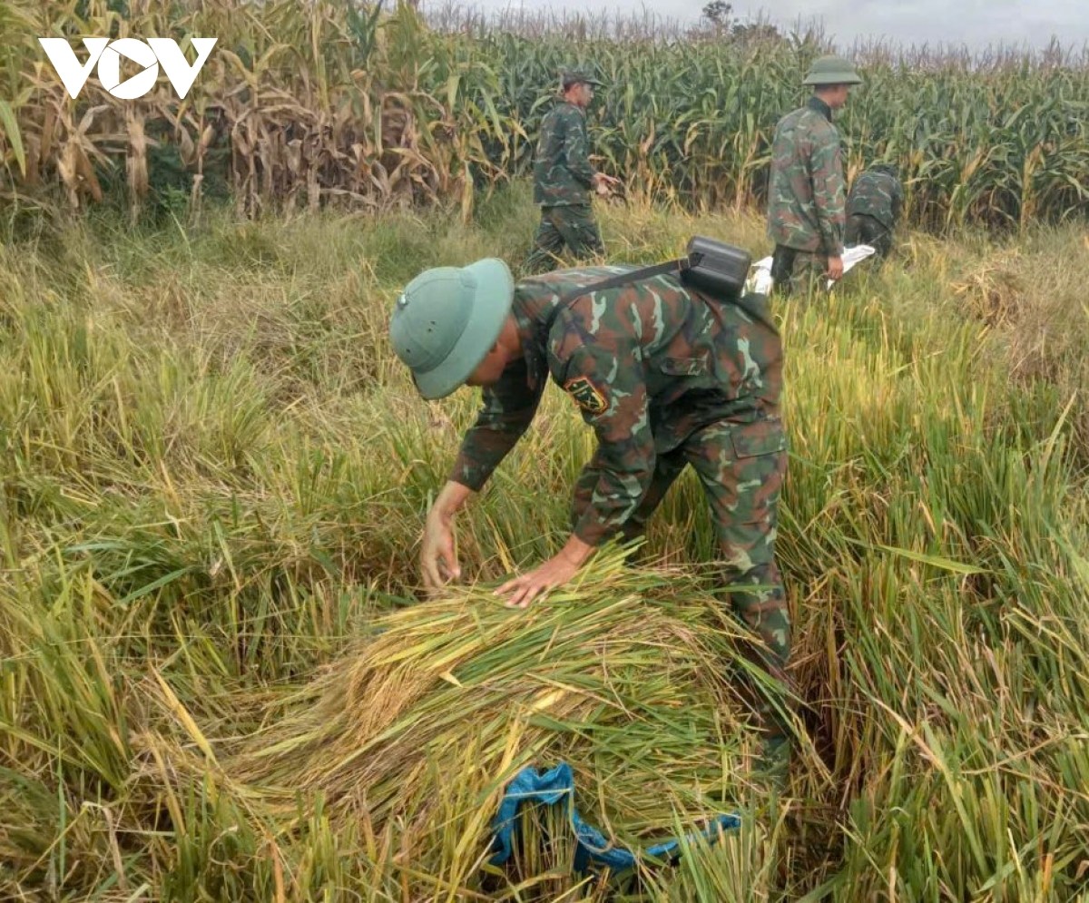 nhung dai doi bo binh thep tren bien gioi Dak lak hinh anh 4