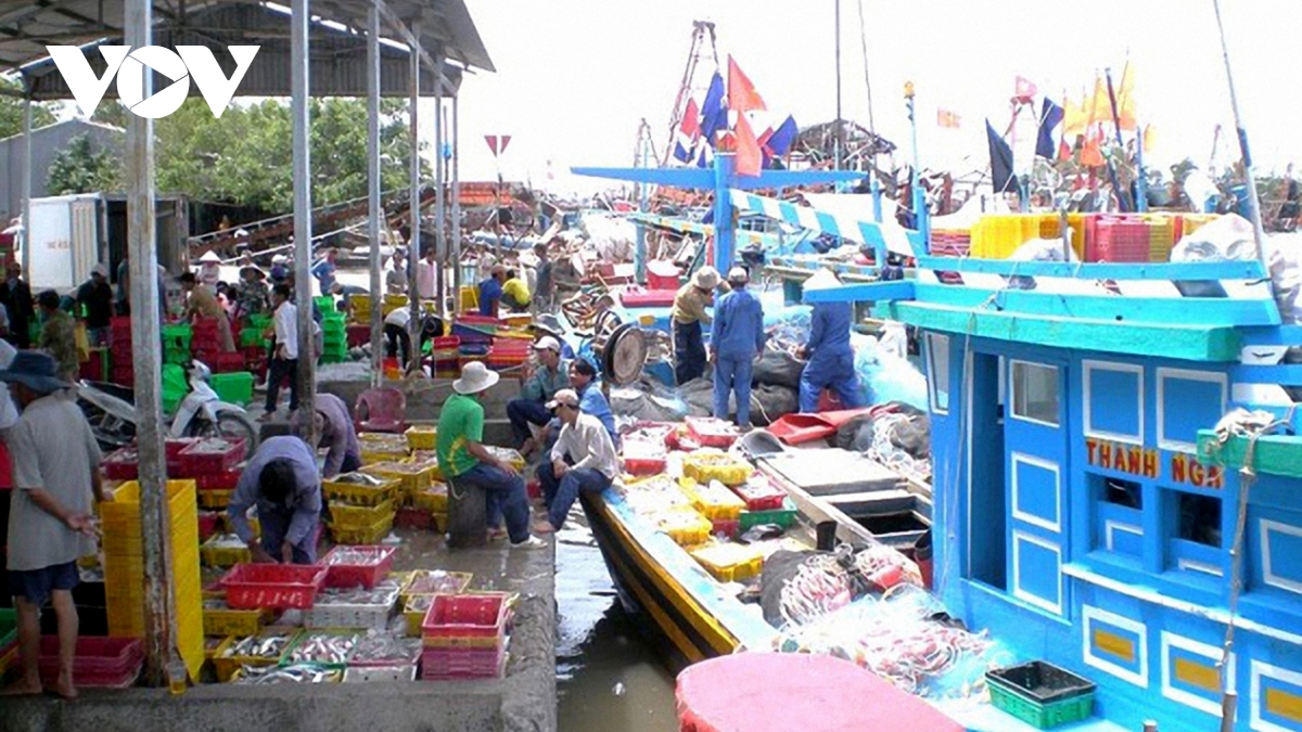 thứ trưởng phùng Đức tiến Để gỡ thẻ vàng iuu, phải nói thật và làm thật hình ảnh 1 thu truong phung Duc tien De go the vang iuu, phai noi that va lam that hinh anh 1