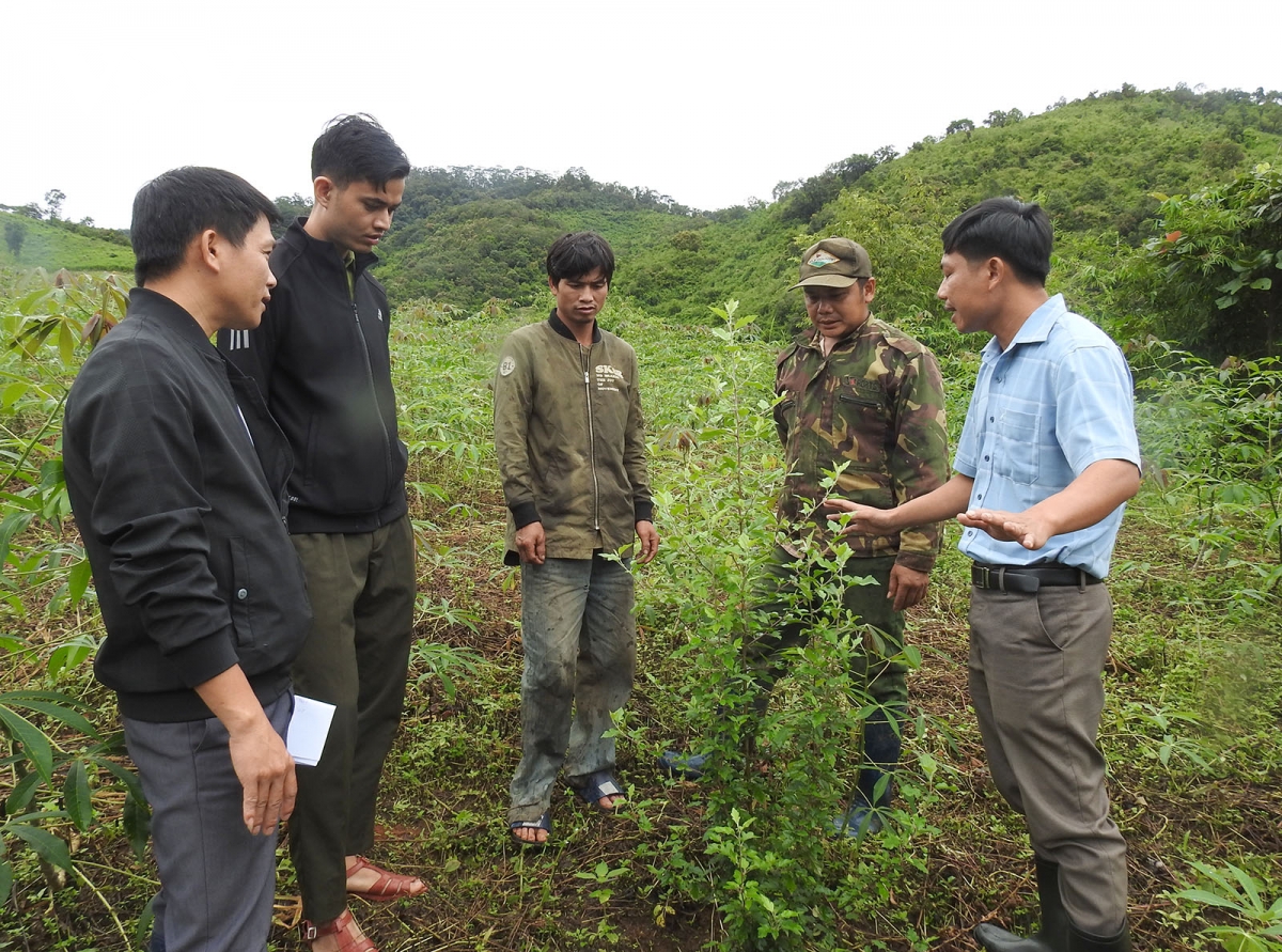 phu xanh dat trong doi nui troc de nguoi xo Dang co sinh ke ben vung hinh anh 2