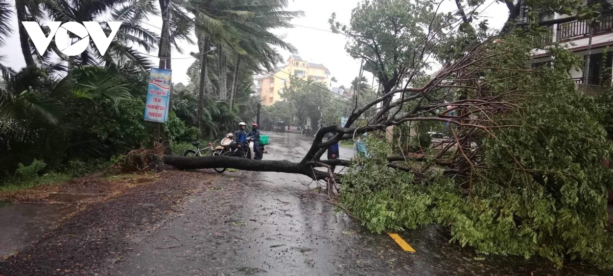 sơ tán hơn 4.400 hộ dân ở quảng nam ra khỏi khu vực nguy hiểm do bão số 6 hình ảnh 4 so tan hon 4.400 ho dan o quang nam ra khoi khu vuc nguy hiem do bao so 6 hinh anh 4