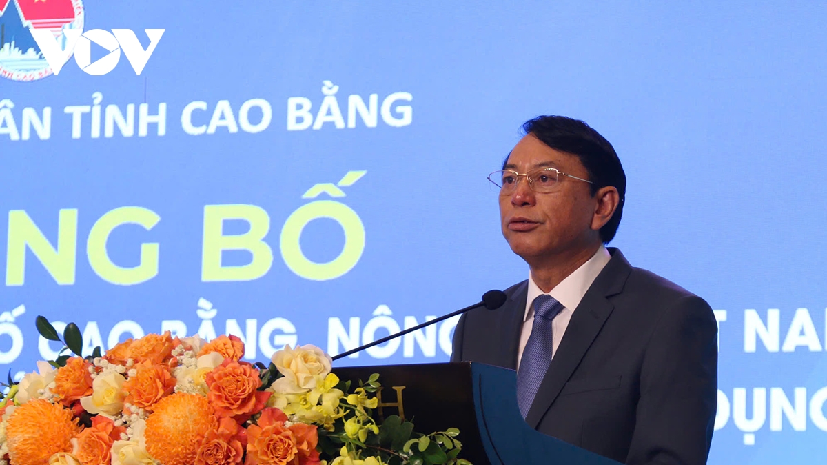 công bố nền tảng công dân số cao bằng hình ảnh 2 cong bo nen tang cong dan so cao bang hinh anh 2