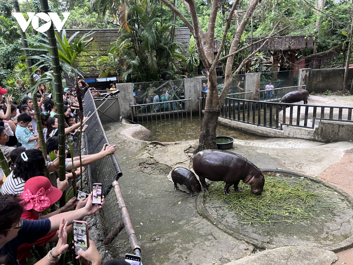 Dam dong ky luc do ve tham ngoi sao ha ma lun moo deng cua thai lan hinh anh 2