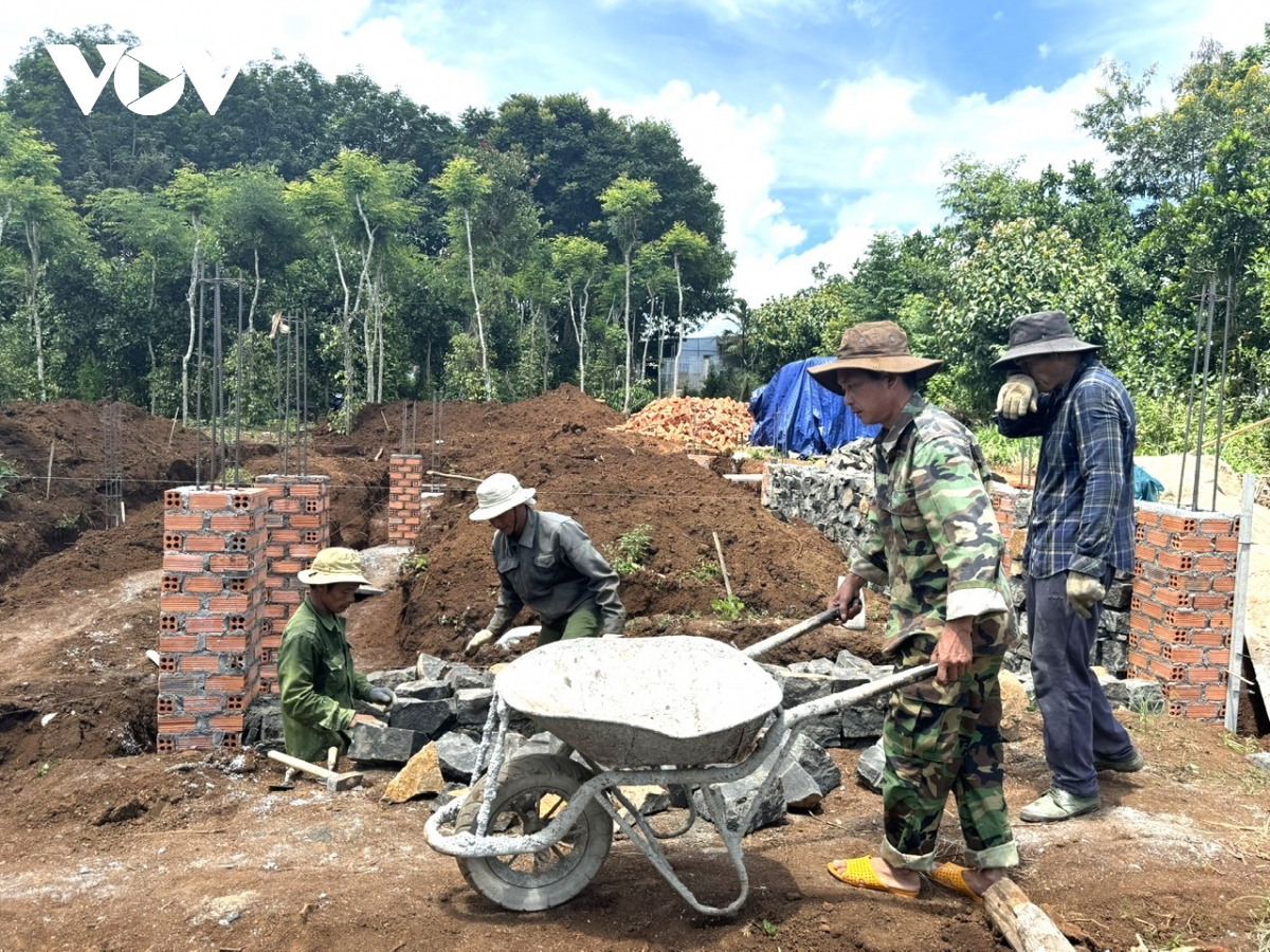 De khong con noi dau tai nan giao thong hinh anh 3