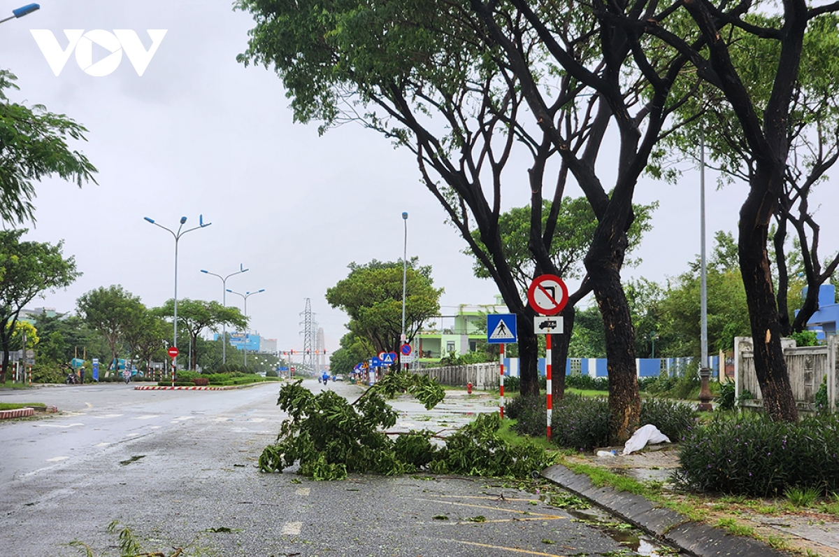 Đà nẵng khẩn trương dọn cây gẫy đổ chủ động đối phó mưa lũ hình ảnh 4 Da nang khan truong don cay gay do chu dong doi pho mua lu hinh anh 4