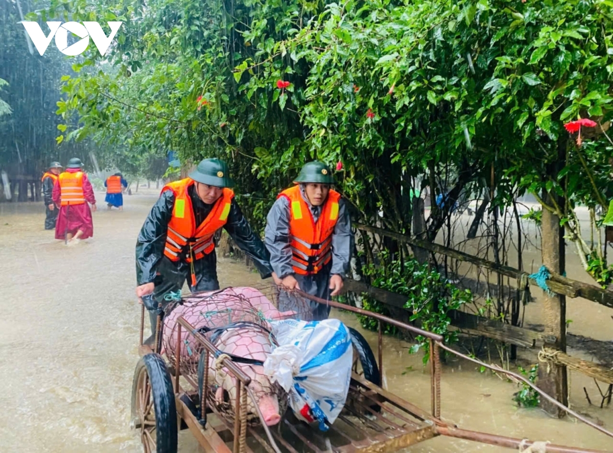 Một người mất tích, bắt đầu sơ tán dân vùng ngập lụt ở Quảng Bình