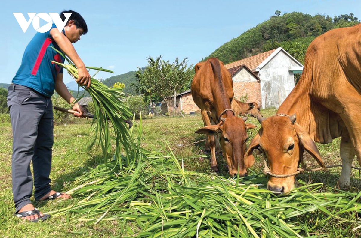 cho cần câu chứ không cho cá nhằm giúp đồng bào dân tộc thiểu số thoát nghèo hình ảnh 1 cho can cau chu khong cho ca nham giup dong bao dan toc thieu so thoat ngheo hinh anh 1