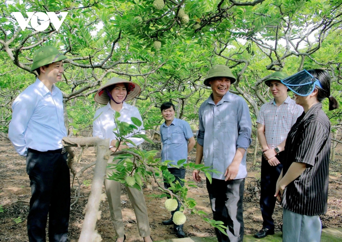Đông triều chuyển mình từ làng quê đến đô thị hình ảnh 3 Dong trieu chuyen minh tu lang que den do thi hinh anh 3