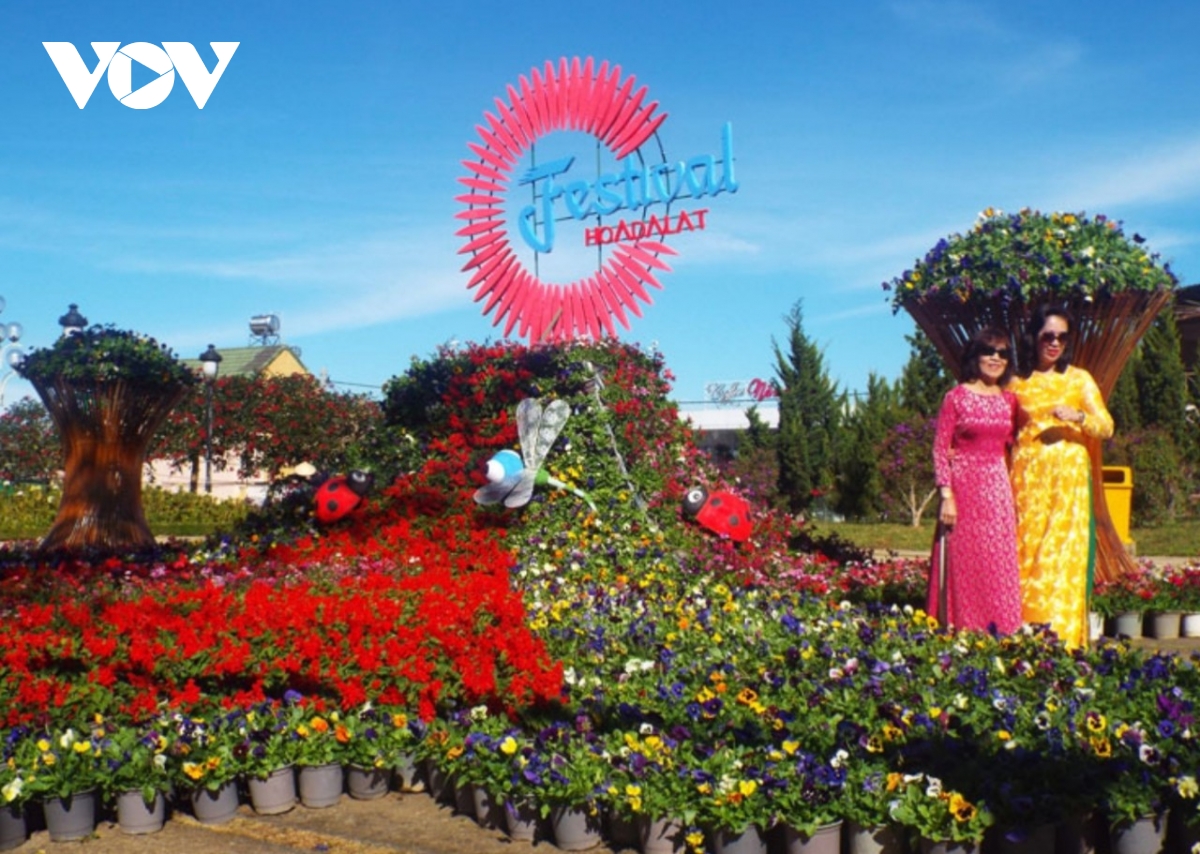 festival hoa Đà lạt lần thứ 10 năm 2024 sẽ diễn ra trong tháng 12 hình ảnh 2 festival hoa Da lat lan thu 10 nam 2024 se dien ra trong thang 12 hinh anh 2
