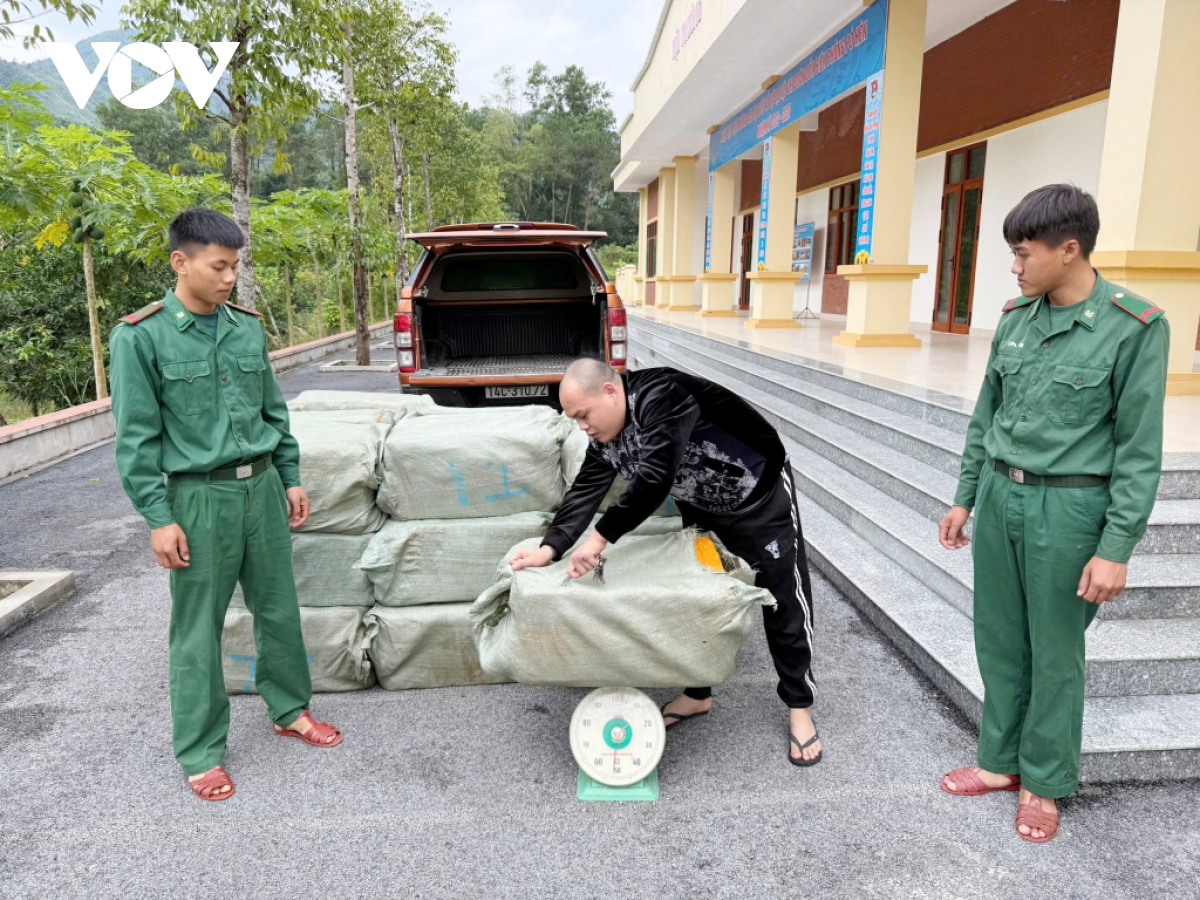 Quảng Ninh bắt giữ gần 1 tấn nầm lợn không rõ nguồn gốc