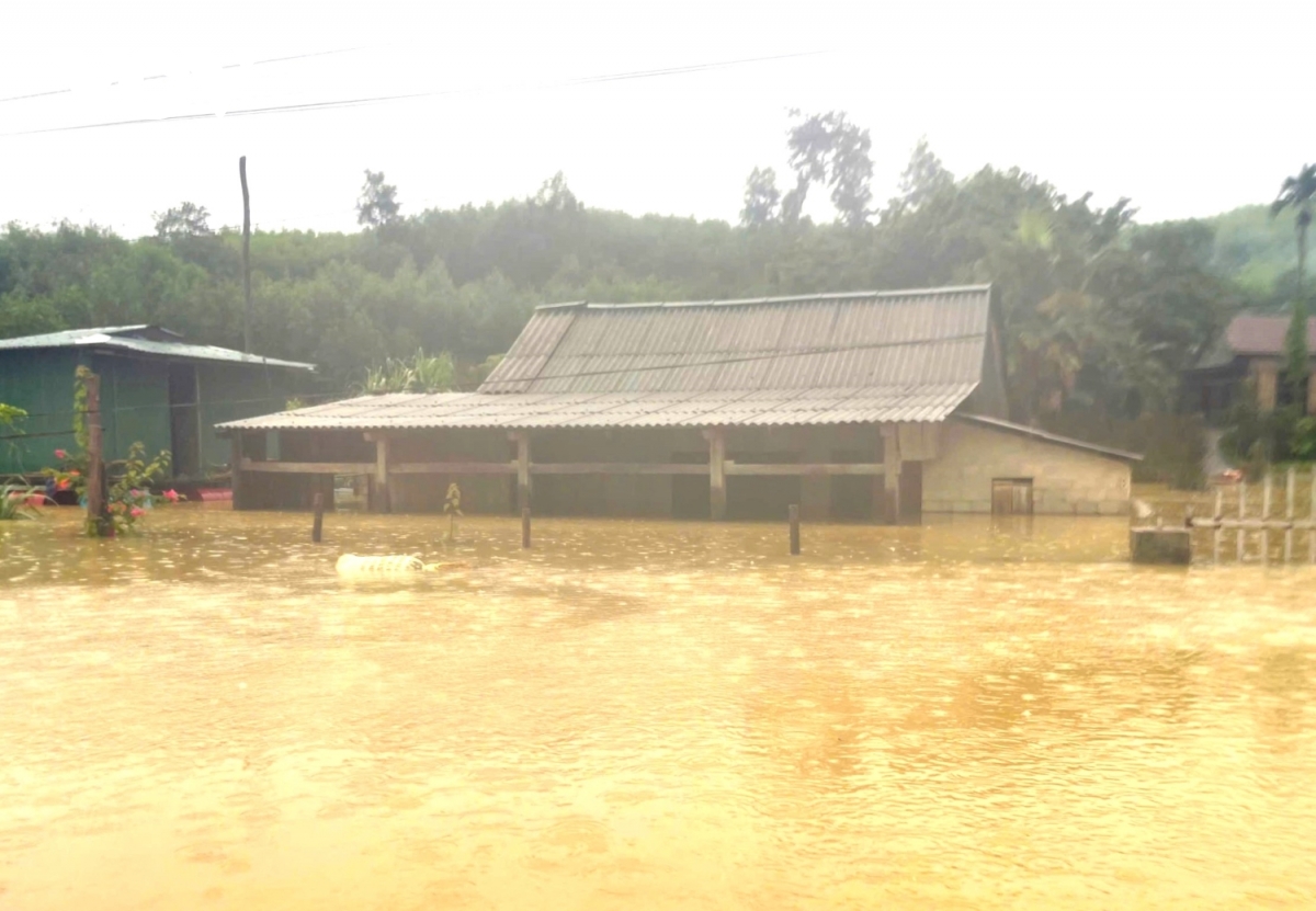 Quảng Bình: Hỗ trợ di dân khẩn cấp vùng thiên tai