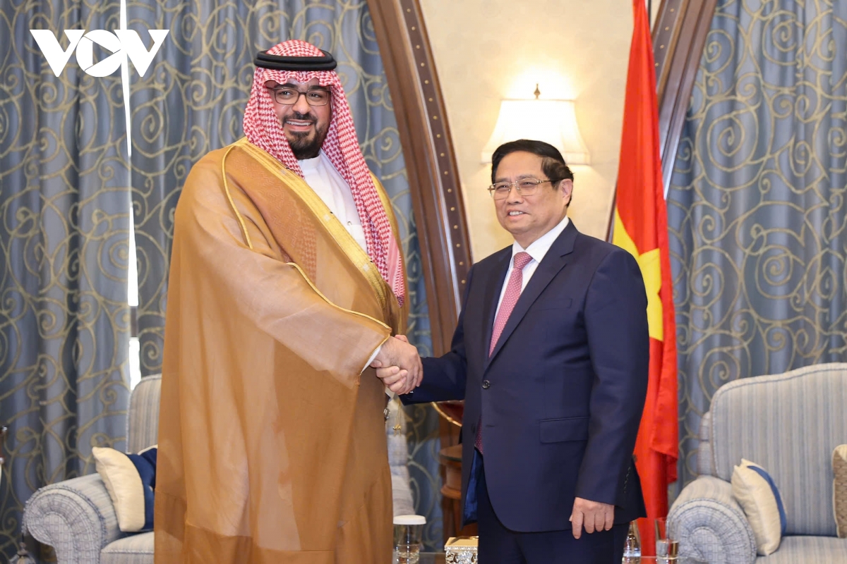 thu tuong tiep ong faisal bin fadhil al-ibrahim bo truong bo kinh te va ke hoach saudi arabia hinh anh 1