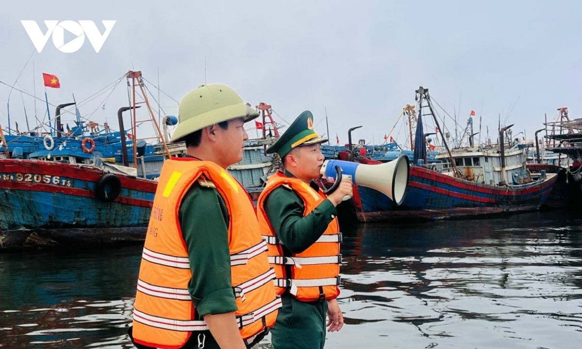 hơn 1.100 phương tiện neo đậu tránh bão số 6 tại âu thuyền thọ quang, Đà nẵng hình ảnh 3 hon 1.100 phuong tien neo dau tranh bao so 6 tai au thuyen tho quang, Da nang hinh anh 3