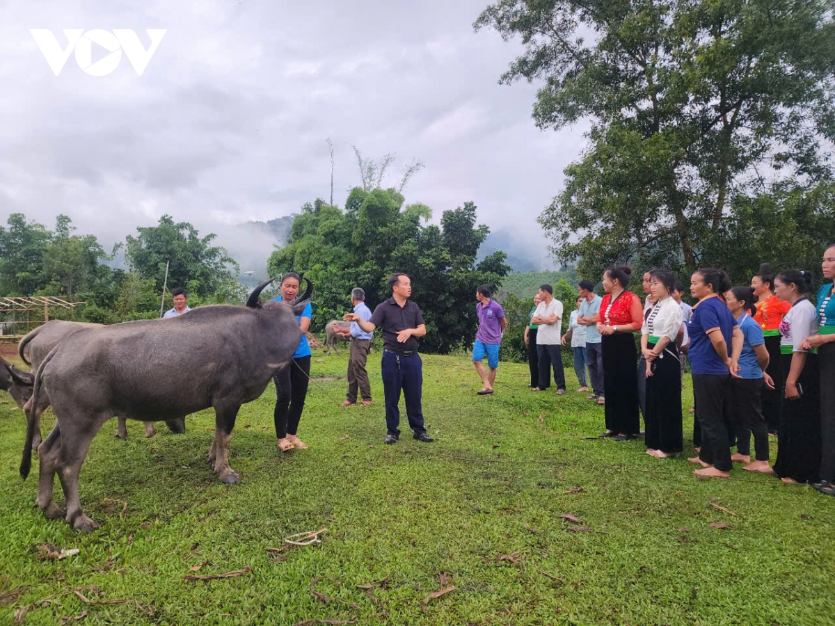 "Chìa khoá" để người dân Mường Nhé xoá nghèo bền vững