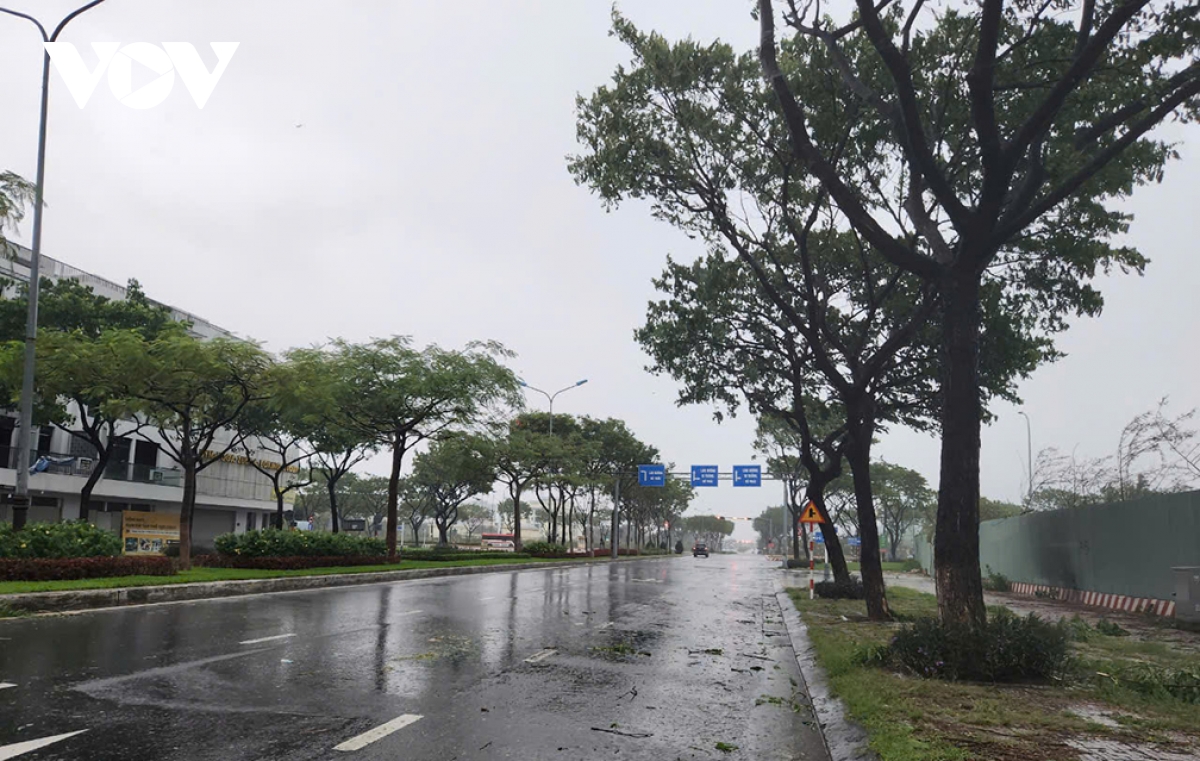 Da nang mua ca dem, song bien dang cao sat duong hinh anh 4