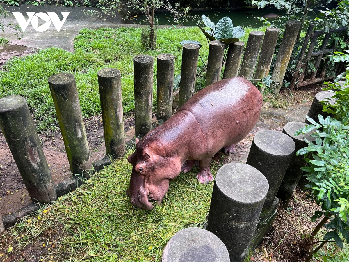 Dam dong ky luc do ve tham ngoi sao ha ma lun moo deng cua thai lan hinh anh 5