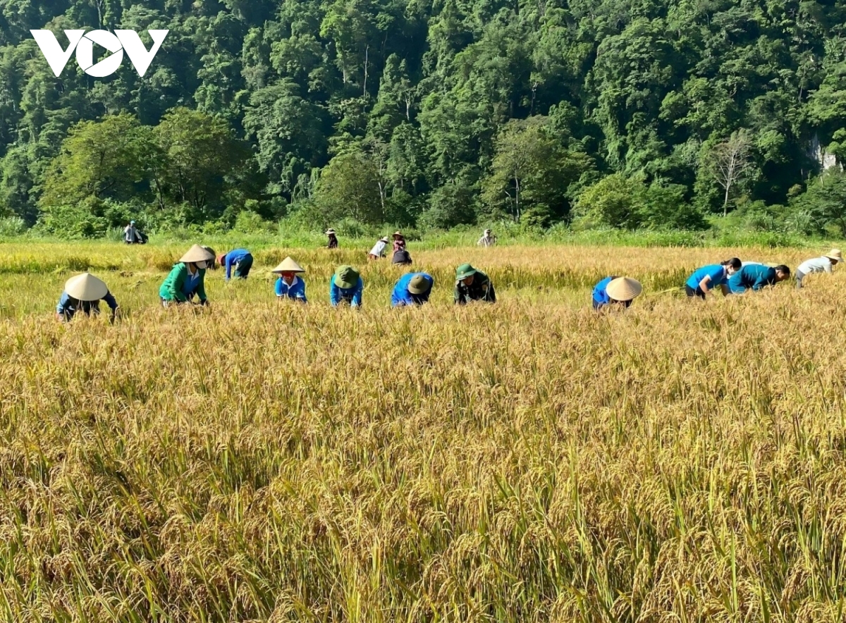 Đoàn kết bản làng, giữ bình yên trên biên giới hình ảnh 1 Doan ket ban lang, giu binh yen tren bien gioi hinh anh 1