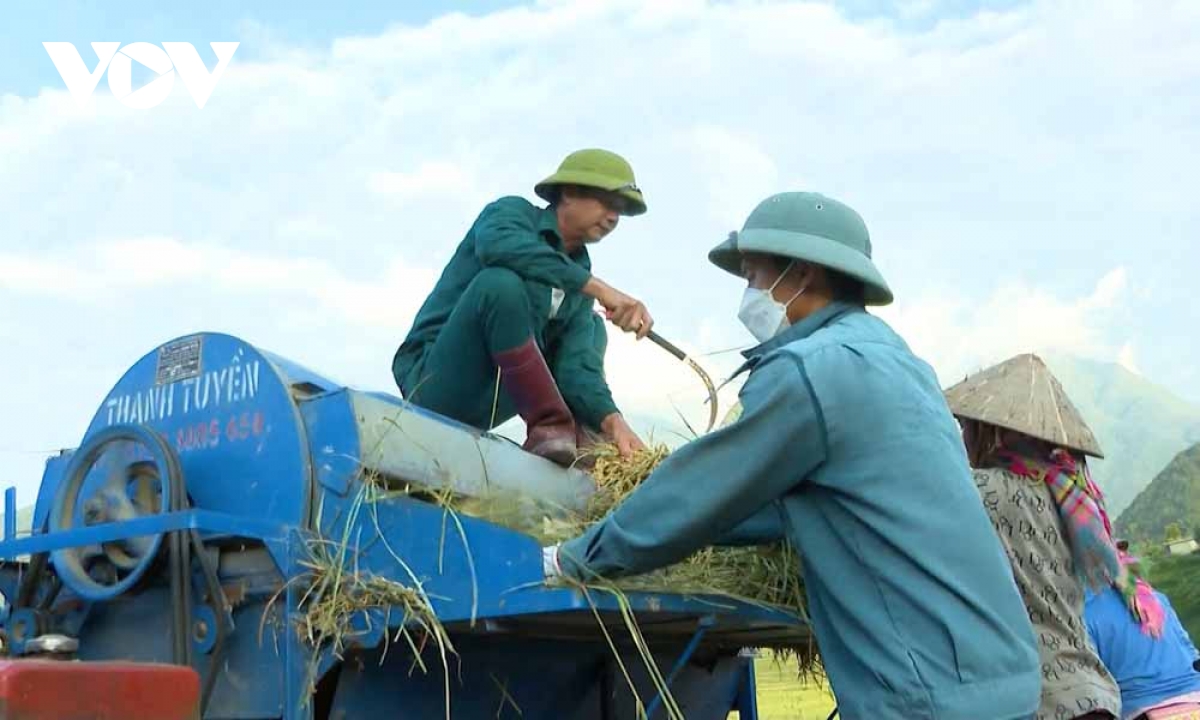 Cá voi xuất hiện trên vùng biển Vĩnh Thực (Móng Cái)