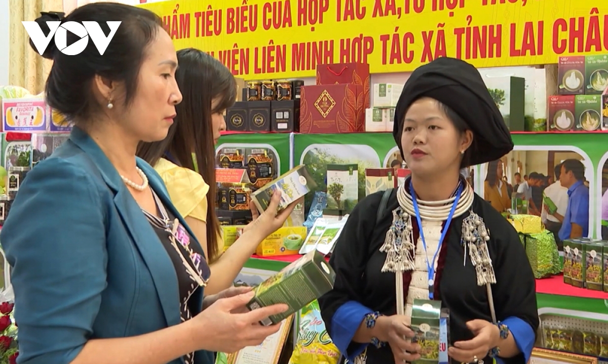 thúc đẩy bình đẳng giới trong đồng bào dân tộc thiểu số ở lai châu hình ảnh 1 thuc day binh dang gioi trong dong bao dan toc thieu so o lai chau hinh anh 1
