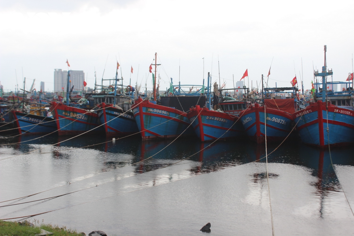 hơn 1.100 phương tiện neo đậu tránh bão số 6 tại âu thuyền thọ quang, Đà nẵng hình ảnh 1 hon 1.100 phuong tien neo dau tranh bao so 6 tai au thuyen tho quang, Da nang hinh anh 1