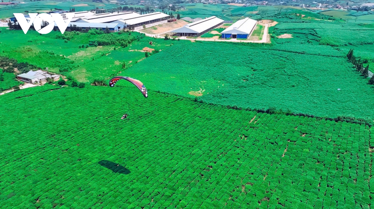 du lich son la khoi sac sau 9 thang dau nam hinh anh 1 du lich son la khoi sac sau 9 thang dau nam hinh anh 1