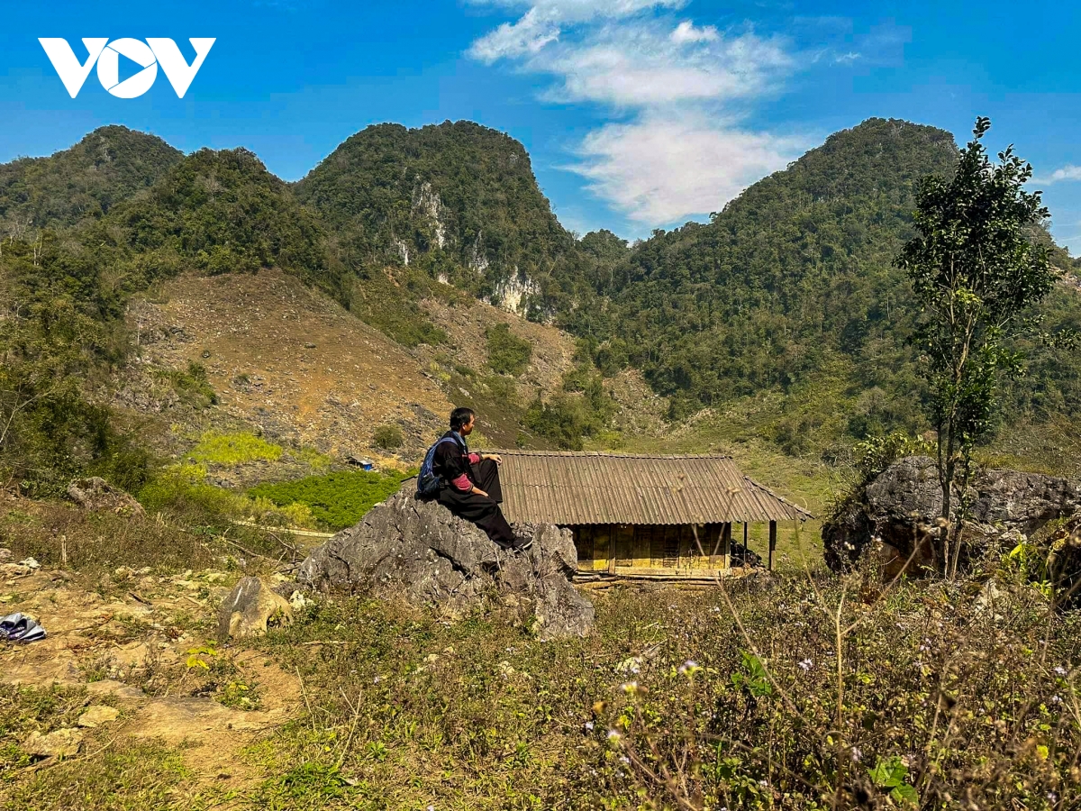 nhung ngay thanh binh cua cap doi sai gon giua nui rung ta so hinh anh 1