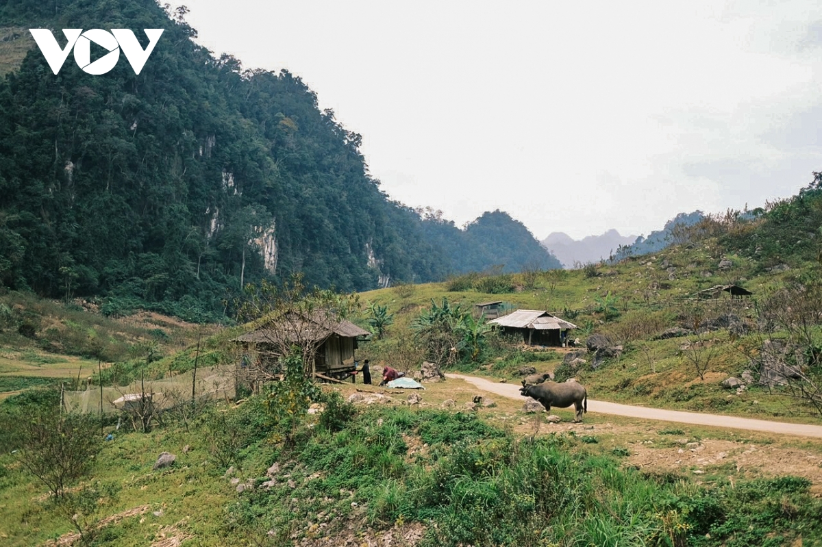 nhung ngay thanh binh cua cap doi sai gon giua nui rung ta so hinh anh 2