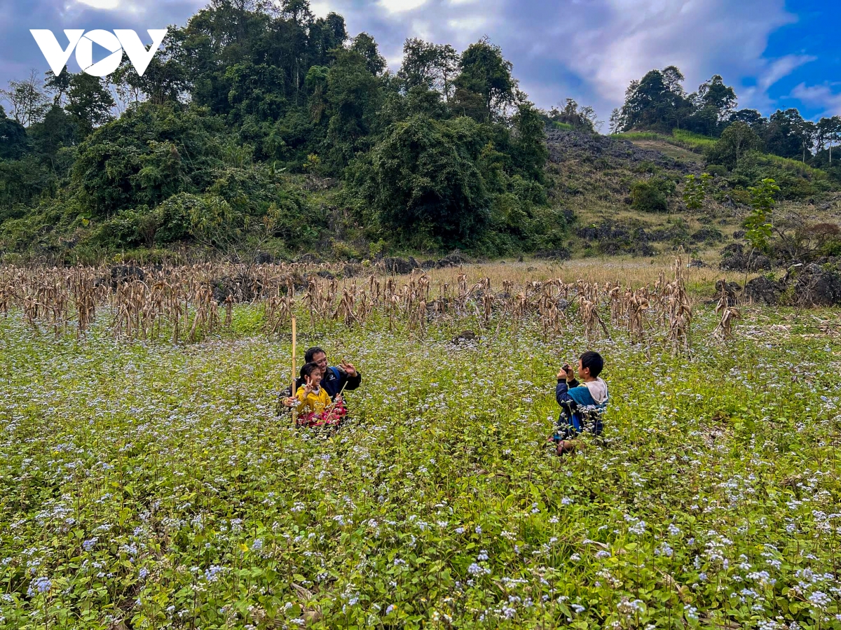 nhung ngay thanh binh cua cap doi sai gon giua nui rung ta so hinh anh 15