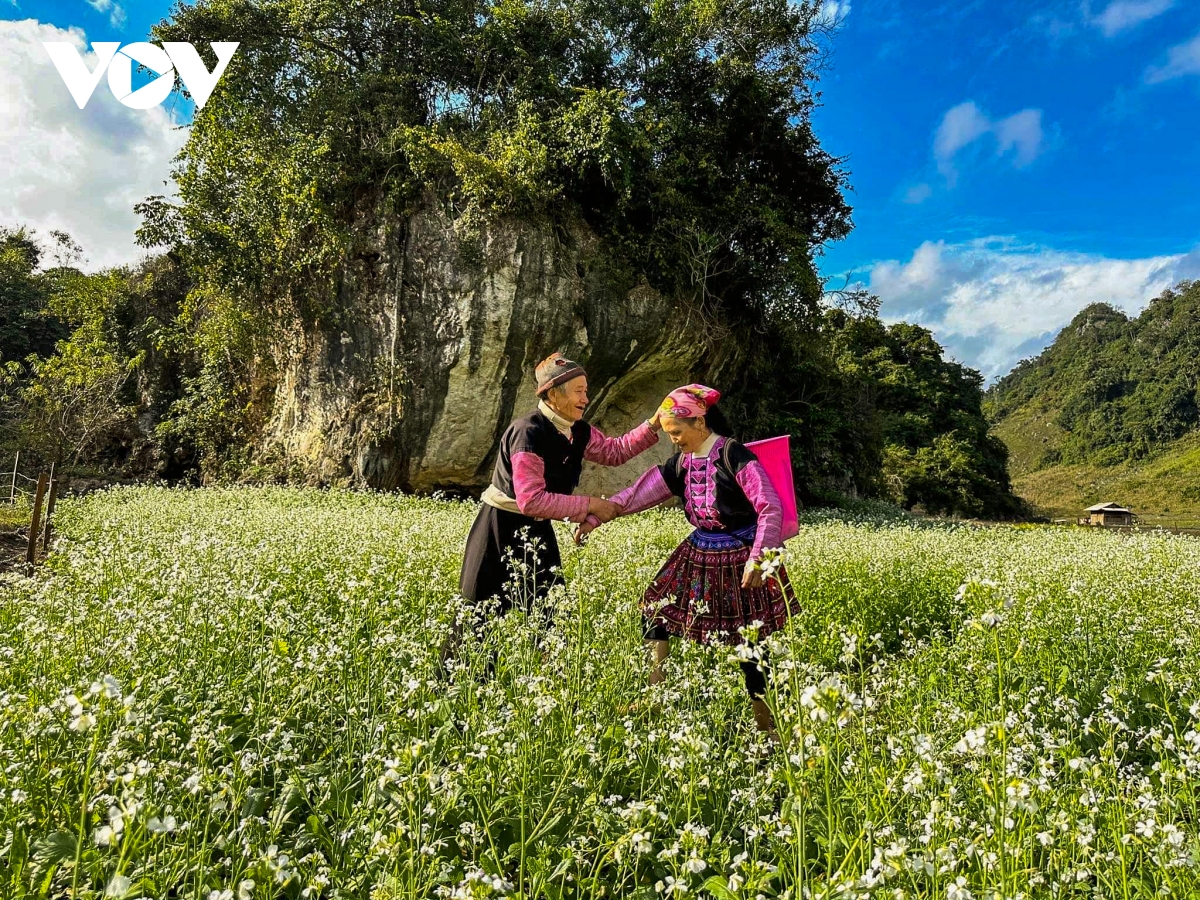 nhung ngay thanh binh cua cap doi sai gon giua nui rung ta so hinh anh 11