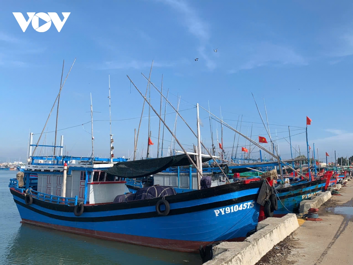 phú yên chủ động ứng phó với bão số 6 hình ảnh 2 phu yen chu dong ung pho voi bao so 6 hinh anh 2