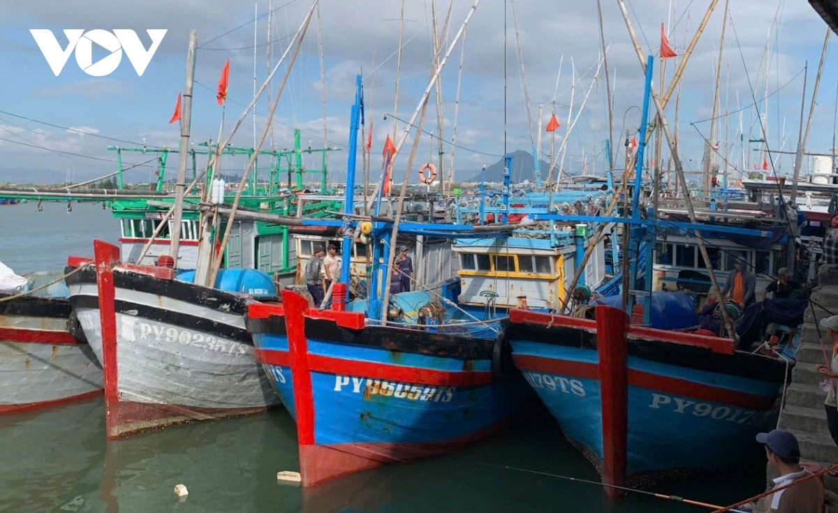phú yên chủ động ứng phó với bão số 6 hình ảnh 1 phu yen chu dong ung pho voi bao so 6 hinh anh 1